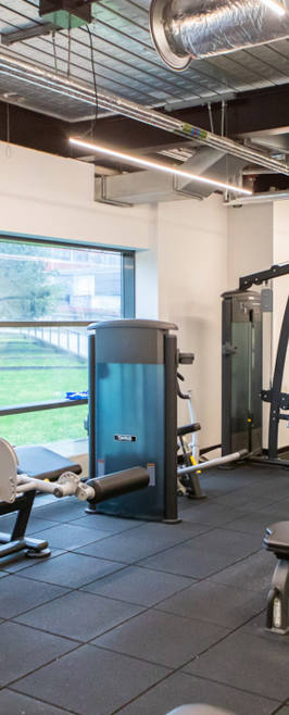 Bright, spacious gym with resistance machines and cardio equipment positioned near large windows Bright, spacious gym with resistance machines and cardio equipment positioned near large windows